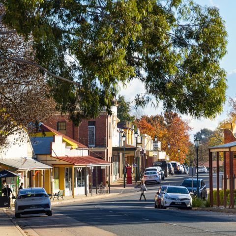 Heritage streetscape with leafy gumtree in foreground