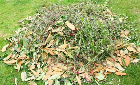 green-waste-1200x729.jpg