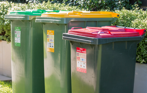 Row of three bins with green lid, yellow lid and red lid