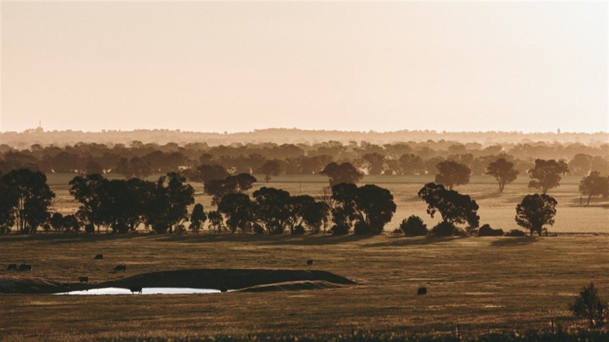 Hume Region Significant Tracks & Trails Strategy Indigo Shire Council