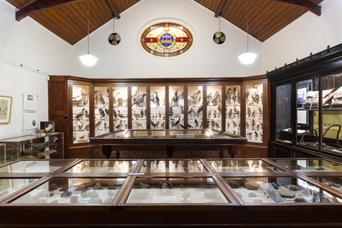 Interior of Burke Museum featuring glass cabinets full of artifacts lined with dark wood