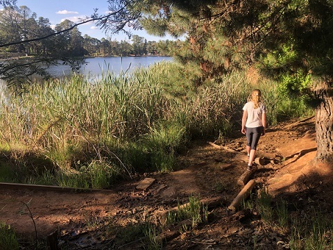 Person walking along the track at the edge of Lake Sambell